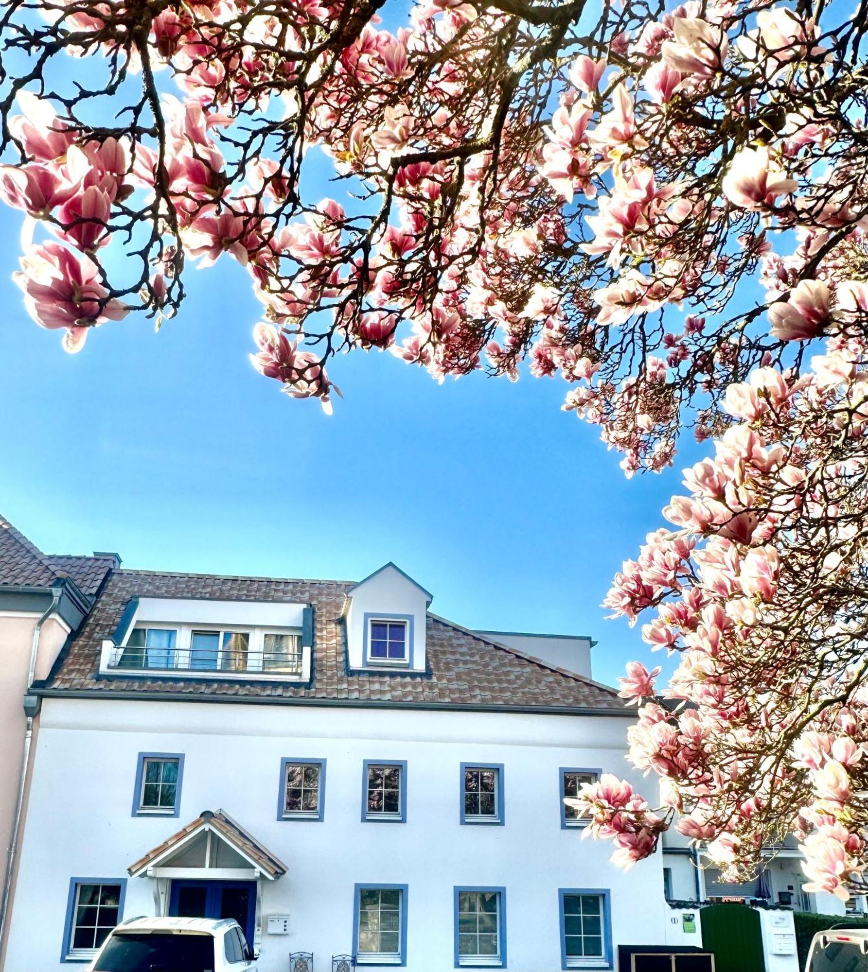 Charmantes Haus Naehe Bonn Koeln Messe Phantasialand Bornheim  Eksteriør bilde